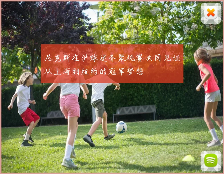 尼克斯在沪球迷齐聚观赛共同见证从上海到纽约的冠军梦想