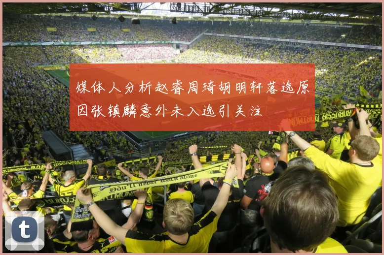 媒体人分析赵睿周琦胡明轩落选原因张镇麟意外未入选引关注